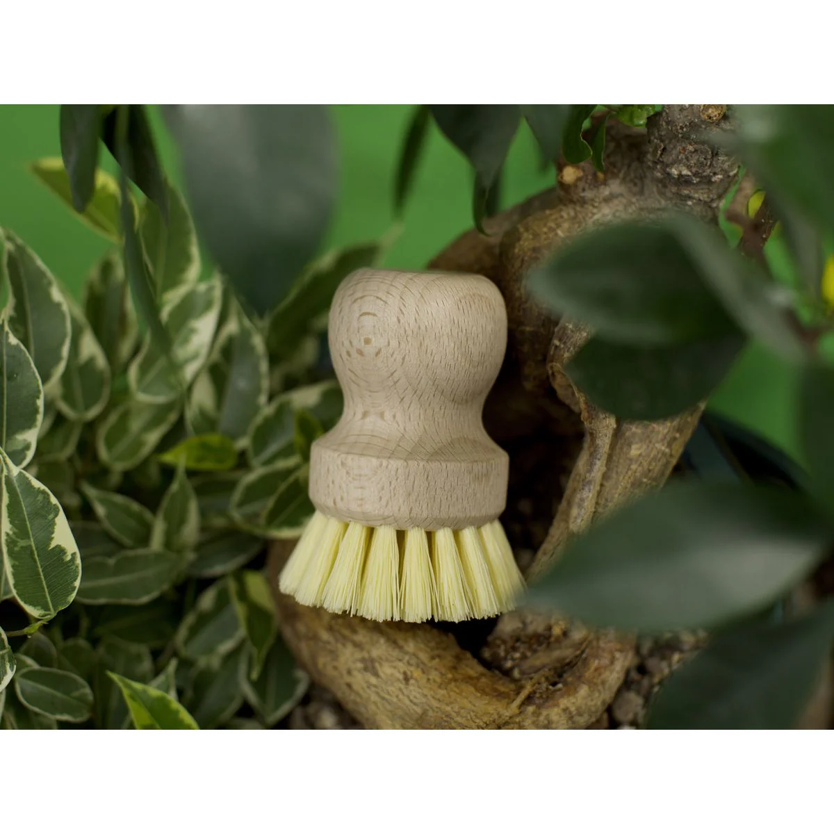 Brosse à vaisselle en bois Fackelmann - Image 12