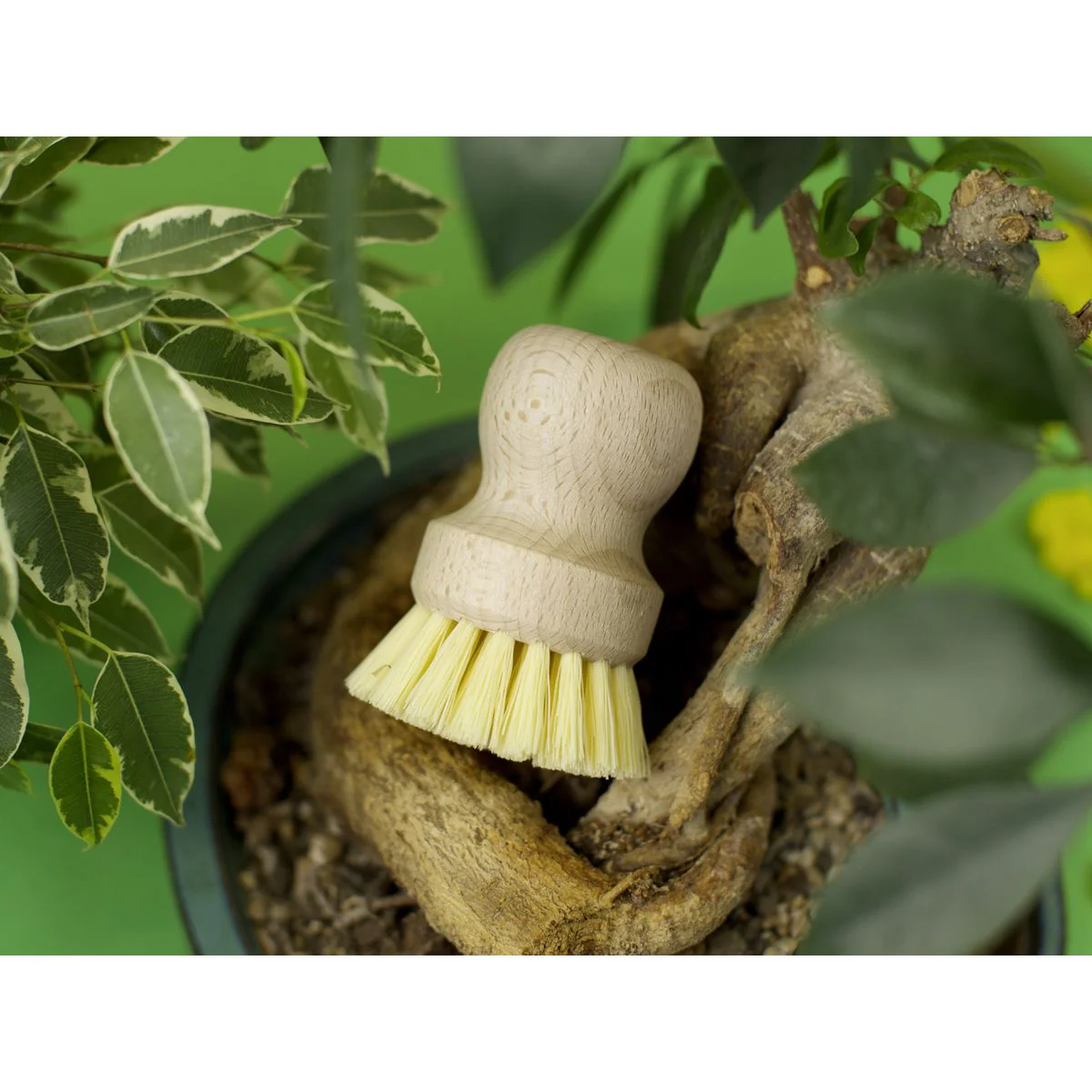 Brosse à vaisselle en bois Fackelmann - Image 13