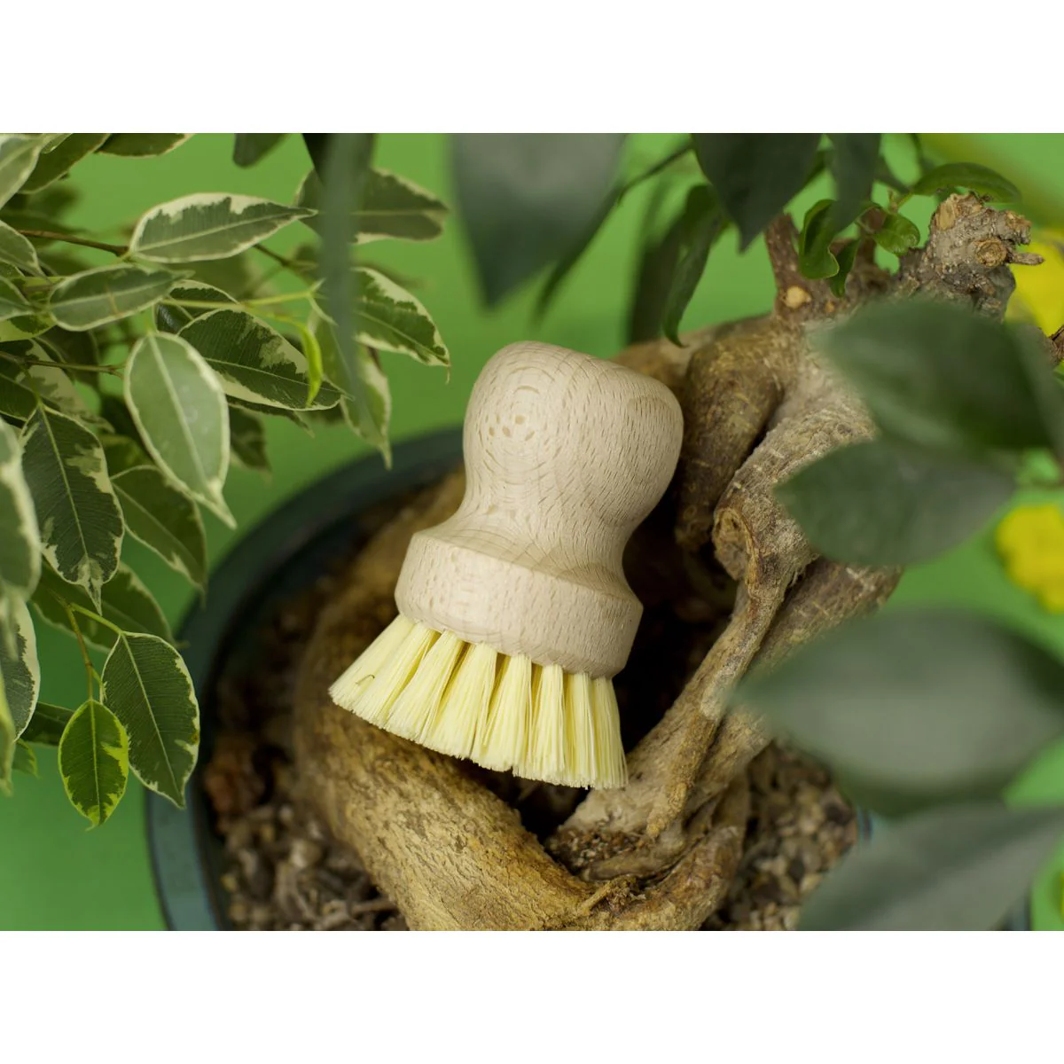 Brosse à vaisselle en bois Fackelmann - Image 14