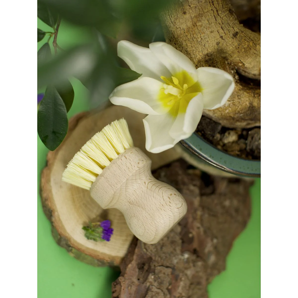 Brosse à vaisselle en bois Fackelmann - Image 8