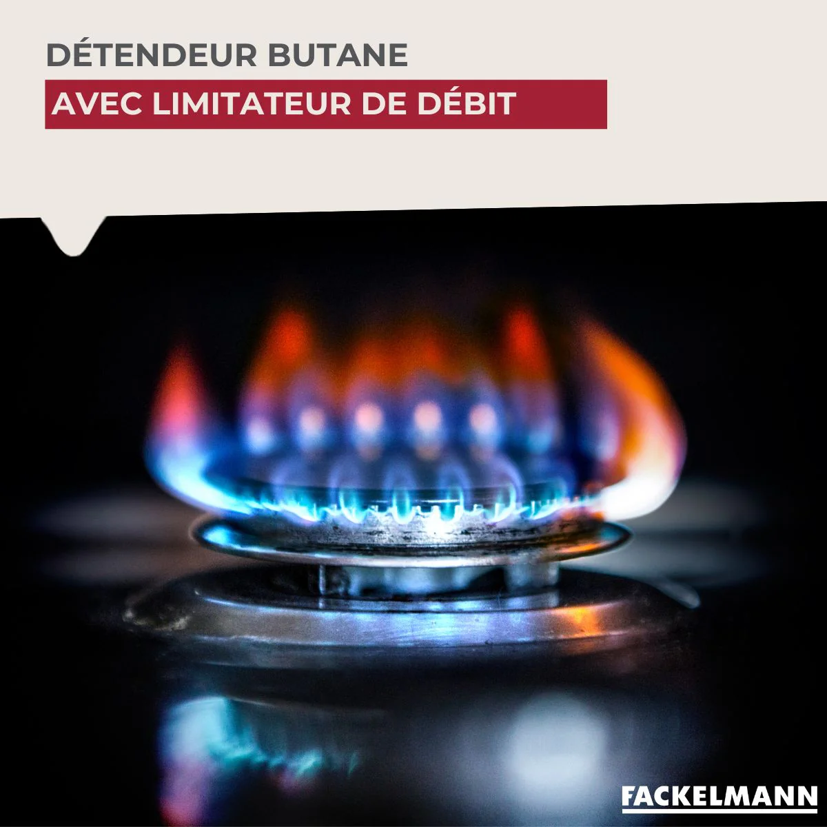 Détendeur butane avec limitateur de débit Fackelmann - Image 2