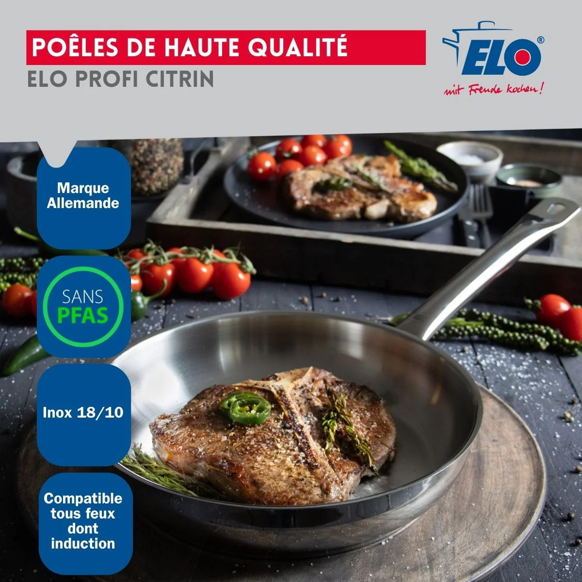 Ensemble de 1 Poêle de cuisson 32 cm et 1 faitout 12 cm Elo Profi Citrin - Image 6