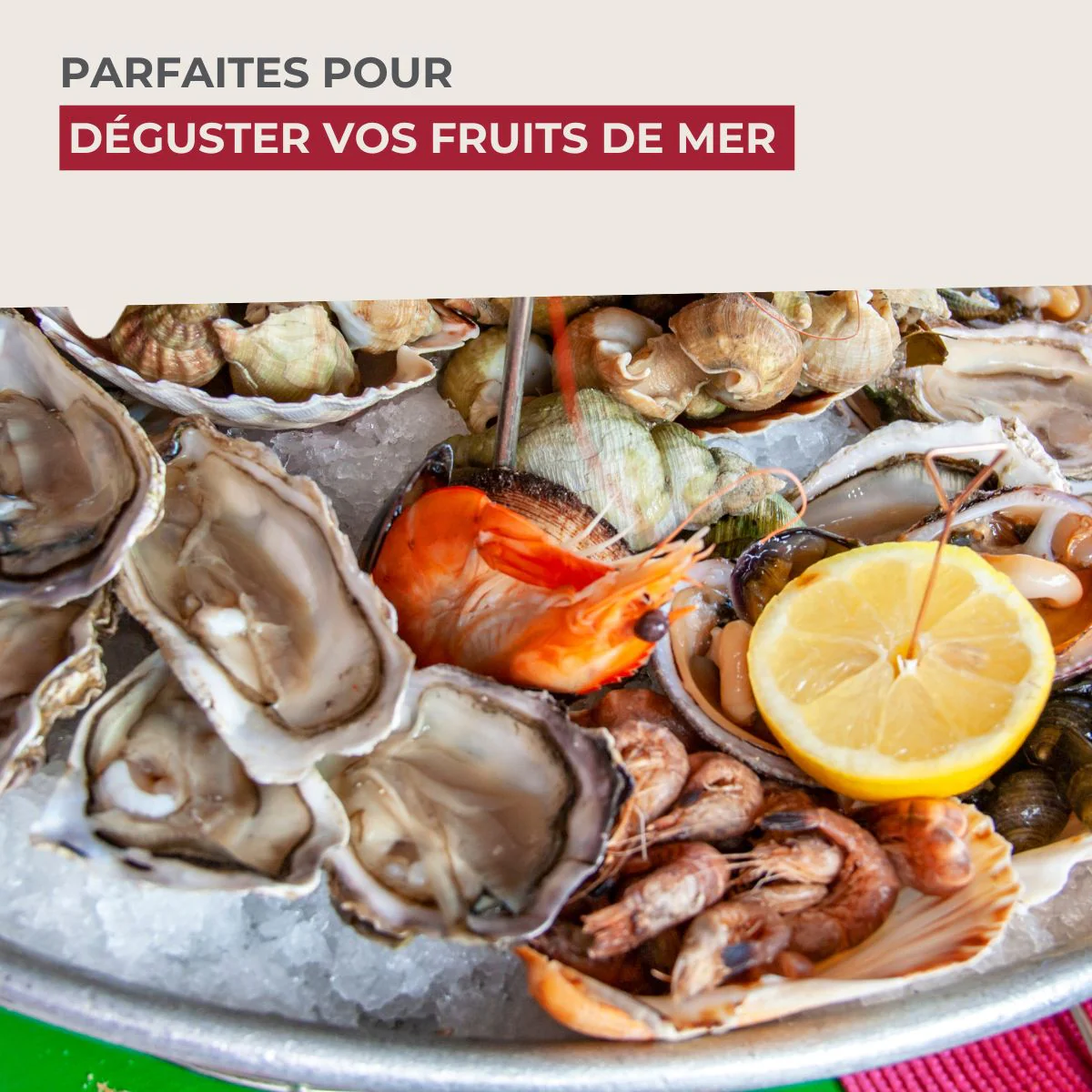Lot de 6 fourchettes à escargots 12,5 cm Fackelmann - Image 5