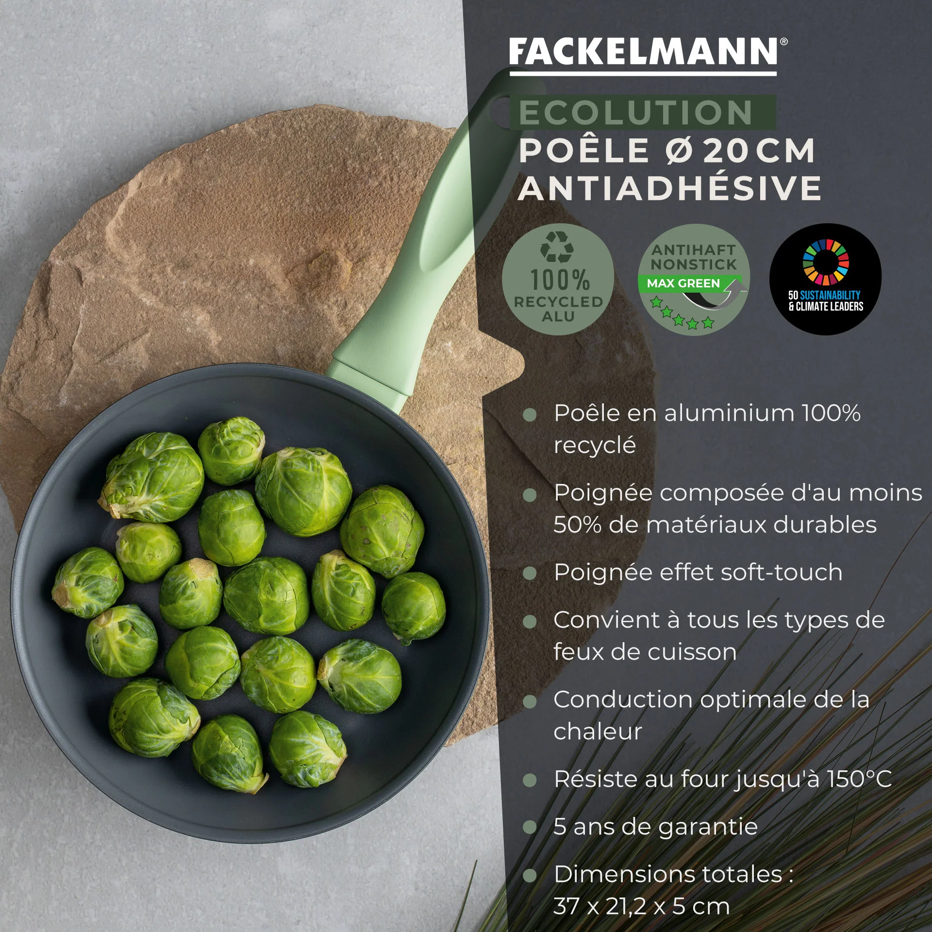 Poêle à frire et couvercle de cuisson de 20 cm de diamètre Fackelmann Ecolution - Image 3