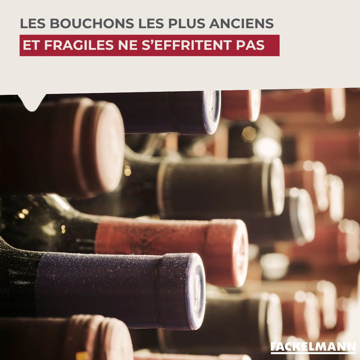 Tire-bouchon à feuille Fackelmann Bar Concept - Image 6